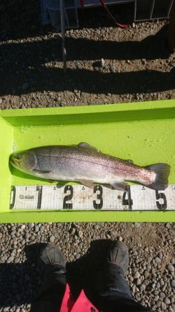 浜名湖フィッシングリゾート