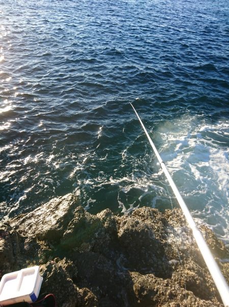 方座浦でグレ釣り