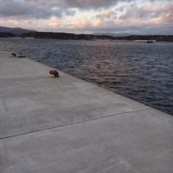 極寒の中で意外な魚が…