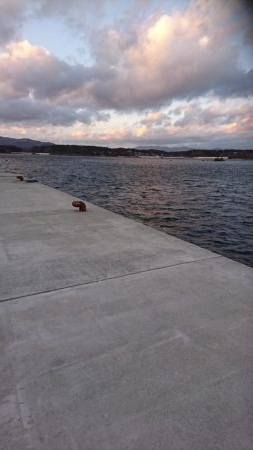 極寒の中で意外な魚が…