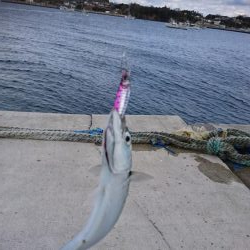 時期外れのライトショアジギング