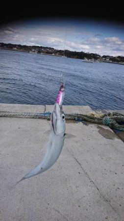 時期外れのライトショアジギング