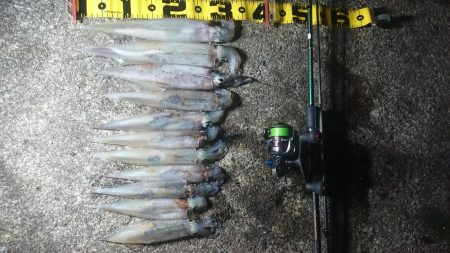 仕事終わりヤリイカ狙い