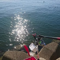 2019年、初フカセ