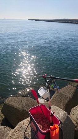 2019年、初フカセ