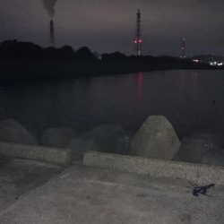 ロックフィッシュ