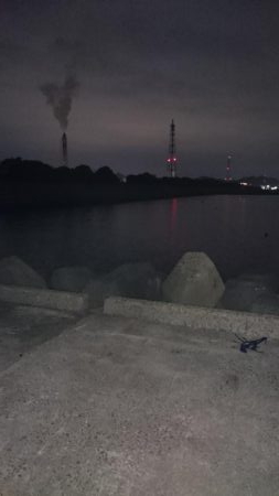 ロックフィッシュ