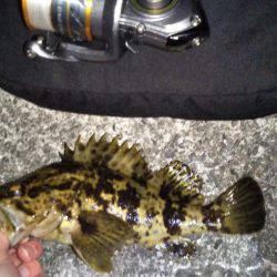 初めての場所でライトゲーム