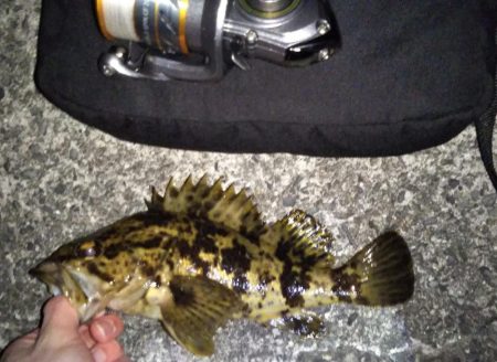 初めての場所でライトゲーム