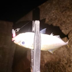 デカいの欲しい