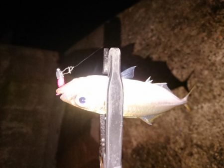 デカいの欲しい