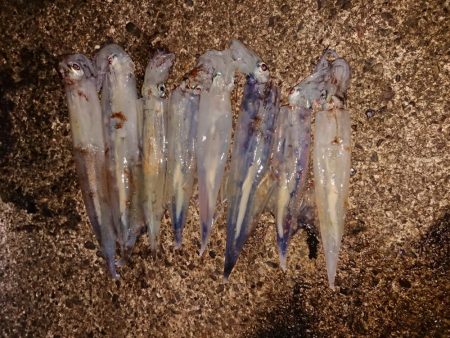 ウネリと強風の中で