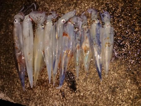 大ウネリの中で