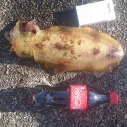 明けましておめでとうございます。