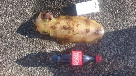 明けましておめでとうございます。