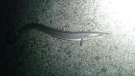 少し暖かくなった日和でした。