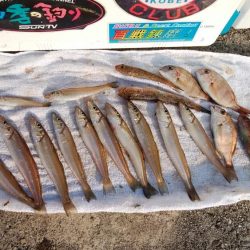 シーズン初の淡路釣行