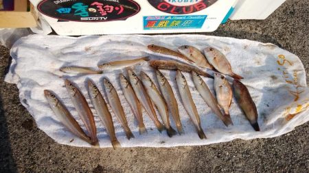 シーズン初の淡路釣行