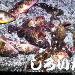 淡路島2日目。福良から洲本へ