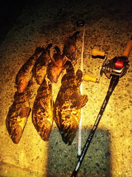 2019初ゴムボートロック