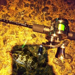 メバリング修行