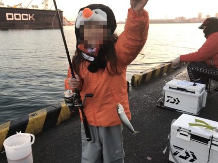 年明けの初釣でマイワシ。