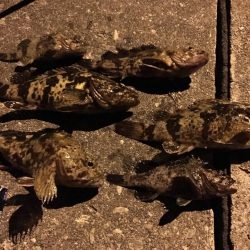 常夜灯の近くで