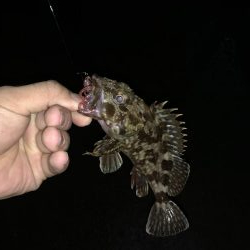 爆風ガシリング