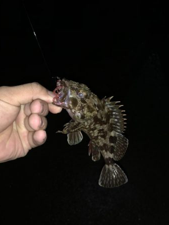 爆風ガシリング