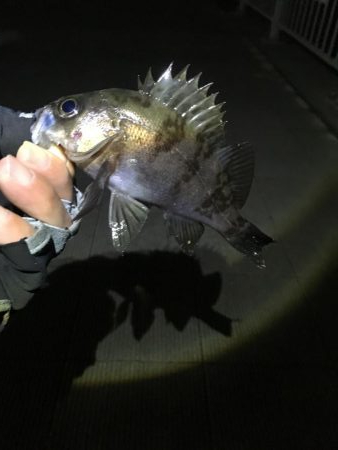 1時間短期決戦！