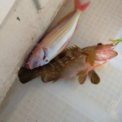 年明け初釣り
