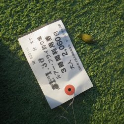 プール　さいたま水上公園