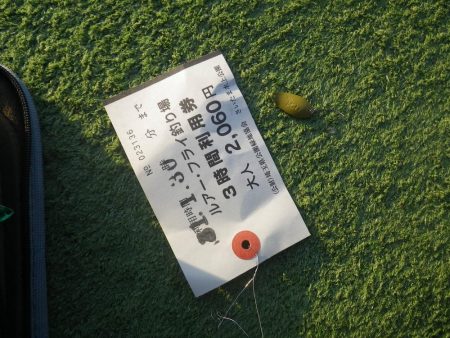 プール　さいたま水上公園