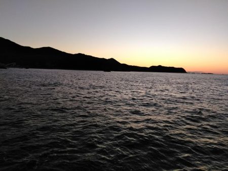 グレ釣れてます・・・