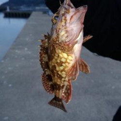 旅行のついでに