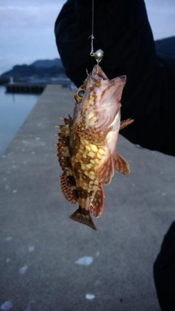 旅行のついでに