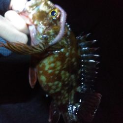 冬になってきました…