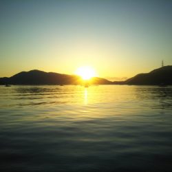 今年初の筏釣り。