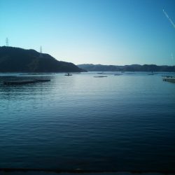 時間が空いたので。