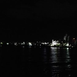 カレイ仕掛けで