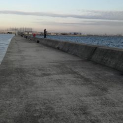 真冬のタチウオ