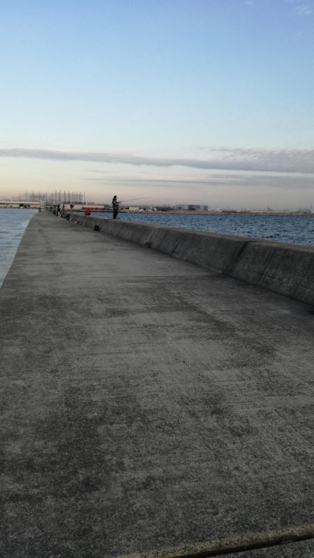 真冬のタチウオ