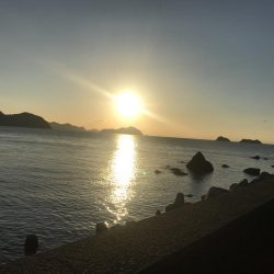 成人違うけど休み