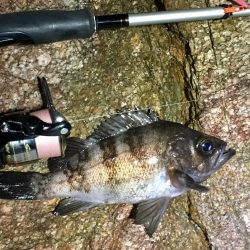 爆風雪極寒メバリング!