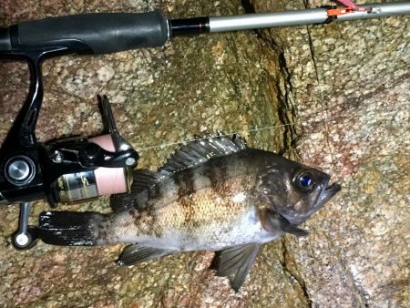 爆風雪極寒メバリング！