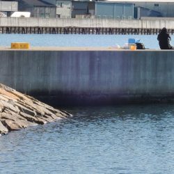 冬のエビ撒き釣り
