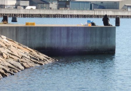 冬のエビ撒き釣り
