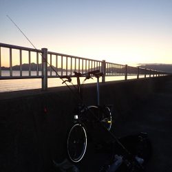 投げ釣り（2018年釣り収め）