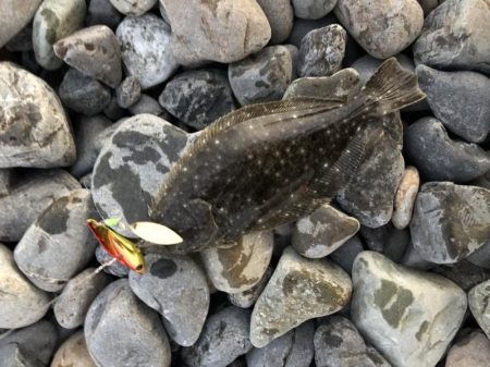 サーフ　ヒラメ狙いで・・・