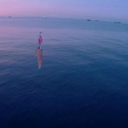 ミノーでヒイカ